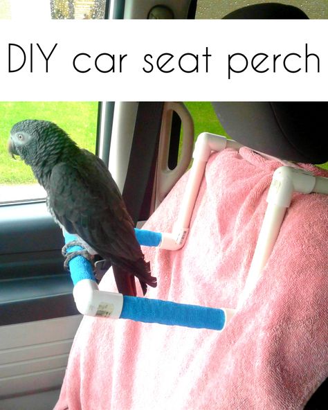 DIY car seat perch for your parrot or bird.  #parrot #africangrey #perch #bird Bird Cage Diy, Parrot Ideas, Homemade Bird Toys, Diy Parrot, Best Pet Birds, Animal Enclosures, Diy Bird Toys, Pet Bird Cage, Diy Mom