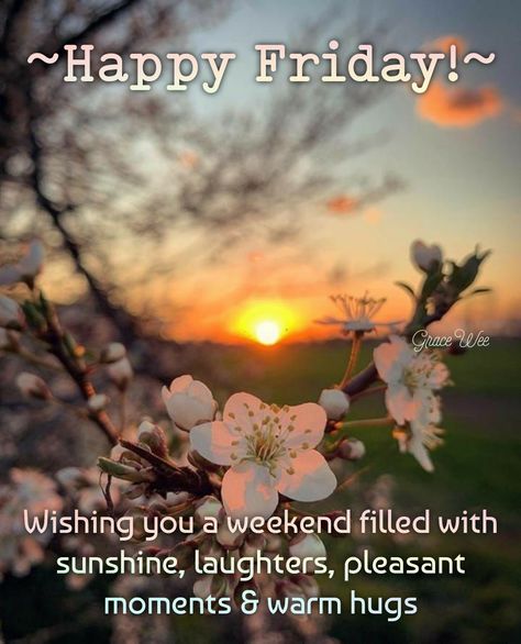 Happy Friday Evening Quotes, Friday Evening Quotes, Fabulous Friday Quotes, Weekend Blessings, Happy Friday Pictures, Friday Greetings, Good Morning Rainy Day, Sweet Good Morning Images, Friday Yay