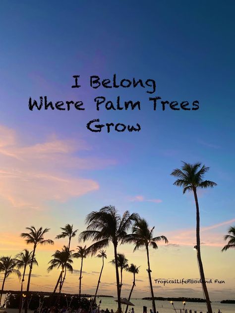 Tropical Quotes, Palm Tree Quotes, Belonging Quotes, Tree Quotes, Best Travel Quotes, Beach Quotes, Summer Quotes, California Love, Salt Life