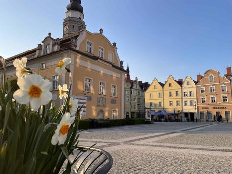 Visiting Boleslawiec Pottery Factory (+Things To Do In Bolesławiec Poland) - Travel Poland Tours Pottery Factory, Boleslawiec Pottery, Europe Trips, Travel Poland, Popular Things, Polish Food, Poland Travel, Instagrammable Places, Polish Recipes