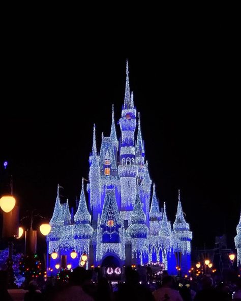 🎄✨ Planning a magical Christmas visit to the Disney Parks with your little ones? Here are 3 tips to make your holiday adventure unforgettable! 1️⃣ Book Early: Christmas at Disney is incredibly popular, so make sure to reserve your tickets, dining, and accommodations as early as possible. This will give you the best options and help avoid disappointment. 2️⃣ Choose Less Crowded Dates: To avoid the peak holiday crowds, consider visiting in late November or the first two weeks of December. You... Disney World Christmas Aesthetic, Disneyland Christmas Wallpaper, Disneyworld Christmas Aesthetic, Disney Parks Christmas, Walt Disney World Christmas Wallpaper, Walt Disney World Christmas, Magical Christmas, Disney Christmas, Christmas Pictures