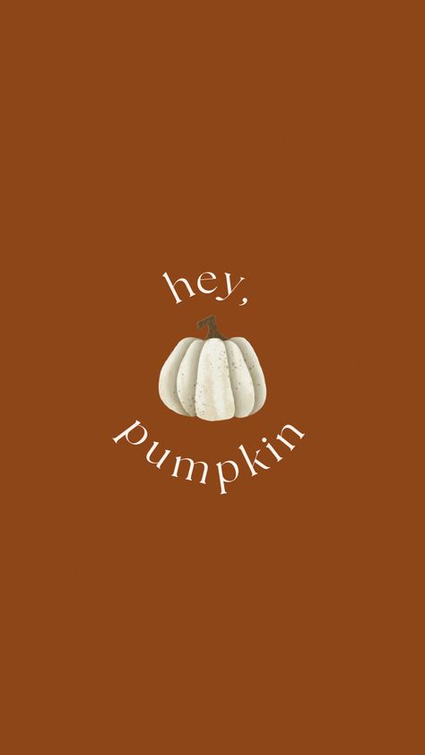 Fall Vibes Wallpaper Iphone, Pumpkin Fall Wallpaper, Pumpkin Phone Wallpaper, Fall Backgrounds Iphone, Autumn Phone Wallpaper, Halloween Wallpaper Iphone Backgrounds, Hey Pumpkin, Halloween Wallpaper Cute, Background Backdrop