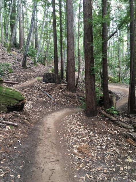 Trail Building, California Places To Visit, Bike Packing, Mtb Trails, Outdoor Biking, Bike Trail, Santa Cruz California, Forest Trail, Forest Mountain