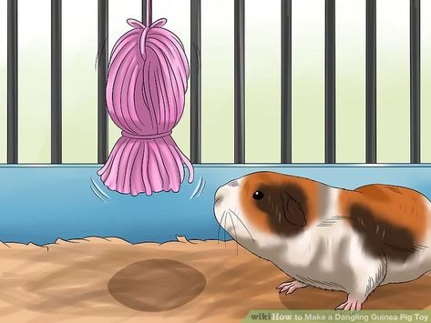 How to Make a Dangling Guinea Pig Toy: 13 Steps (with Pictures) Diy Guinea Pig Toys, Guinea Pig Breeds, Guinea Pig Breeding, Guinea Pig Cages, Guinea Pig Diy, Pig Breeds, Guinea Pig Accessories, Pig Toys, Guinea Pig (toy)