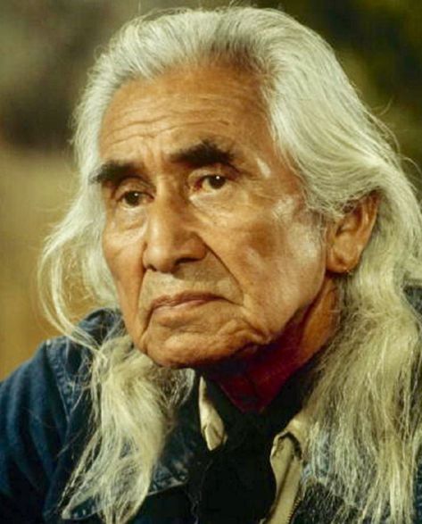 Chief Dan George Native American Face Paint, Chief Dan George, Native American Actors, Native American Spirituality, American Indian History, Native American Images, Native American Men, Native American Pictures, Native American Photos