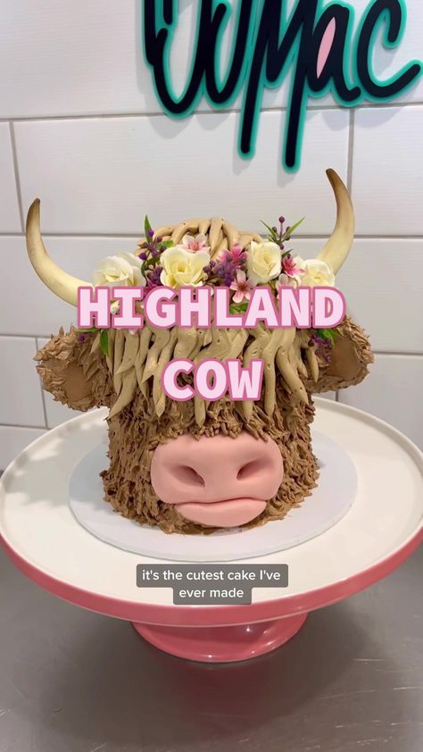 Hiland Cow Birthday Cake, Highland Cow Cakes Ideas, Highland Cow Theme Party, Diy Cow Print Cake, Diy Highland Cow Cake, Cow Cake Design, Fluffy Cow Cake, Cow Cakes Ideas, Highland Cow Cake Tutorial