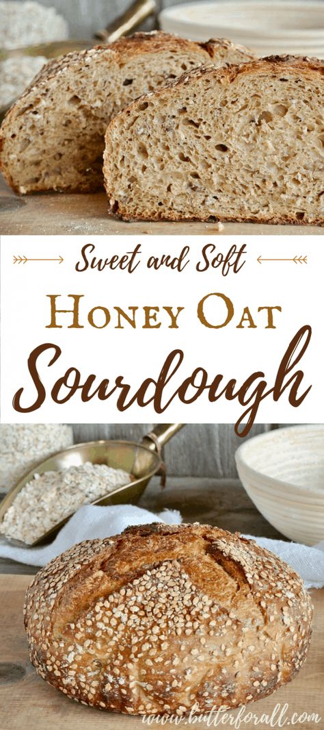 Honey Oat Sourdough, Soft Sourdough Bread, Sourdough Recipe, Sourdough Starter Discard Recipe, Homemade Sourdough Bread, Bread Starter, Pain Au Levain, Sourdough Starter Recipe, Honey Oats