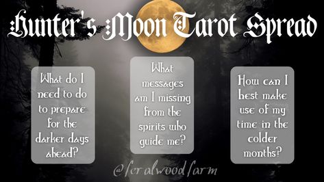 All About the Hunter's Moon - The Full Moon in October - Feralwood Farm Alt Names, October Full Moon, Cast A Circle, Hunter Moon, Shadow Work Healing, Full Moon Tarot, Moon Hunters, Hunters Moon, Moon Aries