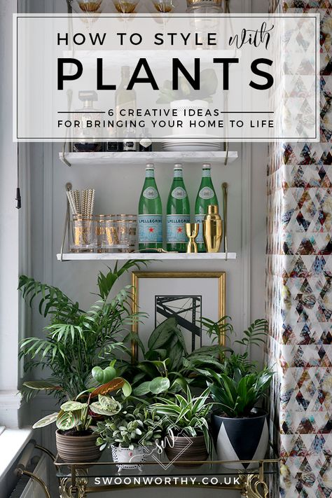 How to Style with Plants - 6 Creative Ideas for Bringing Your Home to Life Monstera Plant Decor Ideas, Plant Staging Indoors, Indoor Plant Grouping Ideas, Shelf Styling With Plants, Arranging Plants In Living Room, Grouping Plants Together Indoors, Styling House Plants, How To Style Plants Indoors, Plant Styling Ideas