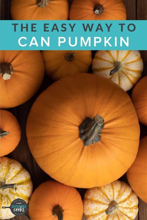 How To Can Pumpkin Butter, Diy Canned Pumpkin, Pumpkin Pie Canning Recipes, How To Can Pumpkin Pie Filling, Canning Pumpkin Pie Filling, How To Can Pumpkin Puree, How To Can Pumpkin, Pumpkin Canning, Canning Pumpkin Puree