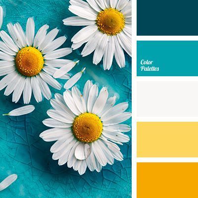 Flat Bedroom, Color Combinations Paint, Palette Design, Color Schemes Colour Palettes, Kitchen Colour Schemes, White Daisies, Color Palate, Design Seeds, Living Room Bathroom