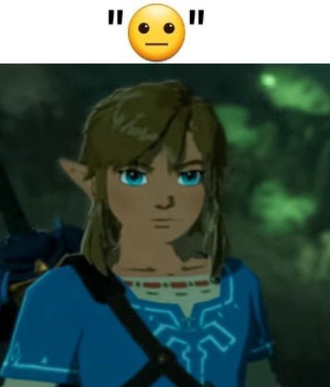 Hyrule Warriors Age Of Calamity, Oot Link, Link Icon, Age Of Calamity, Link Botw, Link Meme, Legend Of Zelda Characters, Zelda Funny, Hyrule Warriors