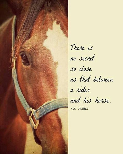 Love this poem so much !!!:) Rider Quotes, Inspirational Horse Quotes, Equestrian Quotes, Riding Quotes, Cowgirl Quotes, Horse Dressage, Horse And Rider, Hunter Jumper, All About Horses