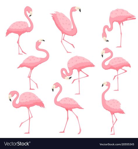 Pink flamingo cartoon Royalty Free Vector Image Flamingo Illustration Art, Flamingo Vector Illustration, Junos Room, Cute Flamingo Drawing, Draw Flamingo, Flamingo Mural, Flamingo Cartoon, Flamingo Drawing, Cartoon Flamingo