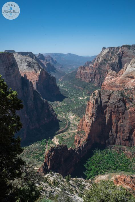 How to choose between Zion National Park's two most popular hikes: Angel's Landing vs Observation Point. Both reward you with a fantastic view, but the magic is also in the journey. Travel tips for your trip to Utah. || Be My Travel Muse Utah National Parks Road Trip, Angels Landing, National Park Road Trip, Utah National Parks, Trip Itinerary, Us National Parks, Road Trip Itinerary, Backpacking Travel, Zion National Park