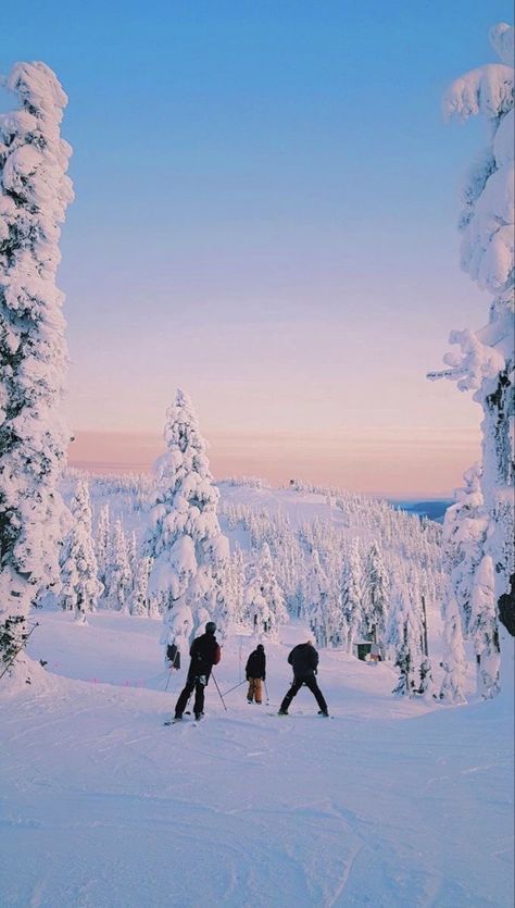 Skiing Vs Snowboarding, Japan Skiing, Ski Trip Aesthetic, Skiing In Japan, Snowboarding Aesthetic, Chalet Girl, Canada Snow, Vancouver Island Canada, Skiing Aesthetic