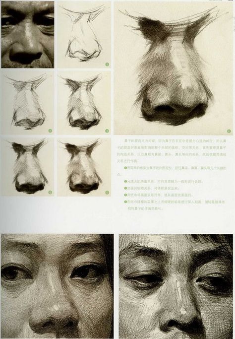 얼굴 드로잉, Nose Drawing, Human Anatomy Drawing, Human Anatomy Art, Anatomy Sketches, Anatomy For Artists, Anatomy Drawing, Arte Inspo, Portrait Sketches