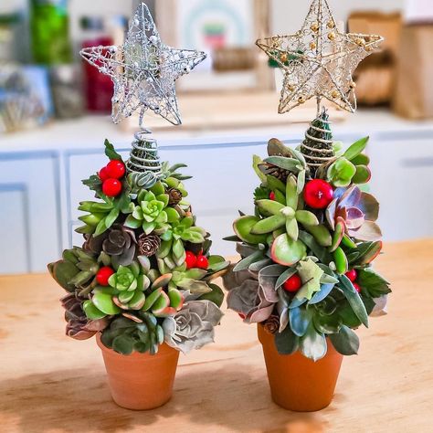 Mini Succulent Christmas Tree Succulent Christmas Tree, Purple Christmas Tree Decorations, Christmas Tree Care, Christmas Plants Gifts, Succulent Christmas, Christmas Candles Diy, African Christmas, Vintage Christmas Tree Decorations, Purple Christmas Tree