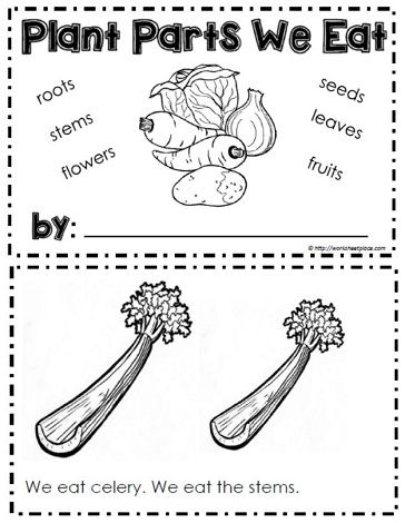 Science Plants, Plants Science, Teaching Plants, Plants Kindergarten, Plant Lessons, Plants Worksheets, Plant Parts, Preschool Garden, Plants Unit