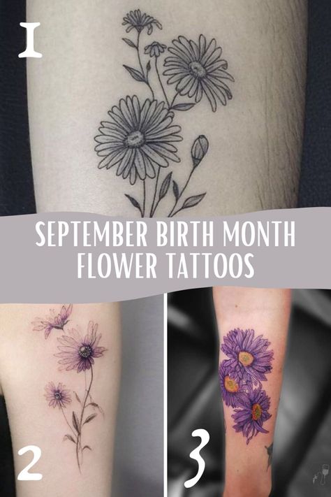 September Birth Flower Tattoo Ideas {The Aster} - Tattoo Glee Tattoo Ideas Flower Birth Month September, September Birth Tattoo Ideas, September Birth Month Tattoo, Asters Flower Tattoo, Birth Flower Tattoos September, Aster Tattoo Small, September Birth Flower Tattoo Ideas, September Flower Tattoo Birth Month, Aster Flower Tattoo Design