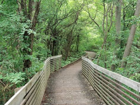 If you love exploring the great outdoors, be sure to check out these underrated natural destinations in Metro Detroit. Nature, Artificial Island, Playground Areas, Forest Scenery, Detroit Area, Metro Detroit, Nature Preserve, Nature Center, Walking Trails