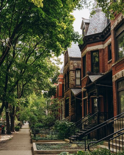 Strolling through Lincoln Park. Chicago’s hidden gem where city meets nature. The skyline peeks through, but all you feel is calm and serenity. Whether it’s the gardens, the zoo, or just these quiet streets, there’s something so grounding here ☺️ #LincolnPark #ChicagoDays #CityEscape #sonyalphafemale Lincoln Park Zoo Chicago, Lincoln Park Chicago, Lincoln Park Zoo, Lincoln Park, The Zoo, Hidden Gem, Future House, Lincoln, Chicago