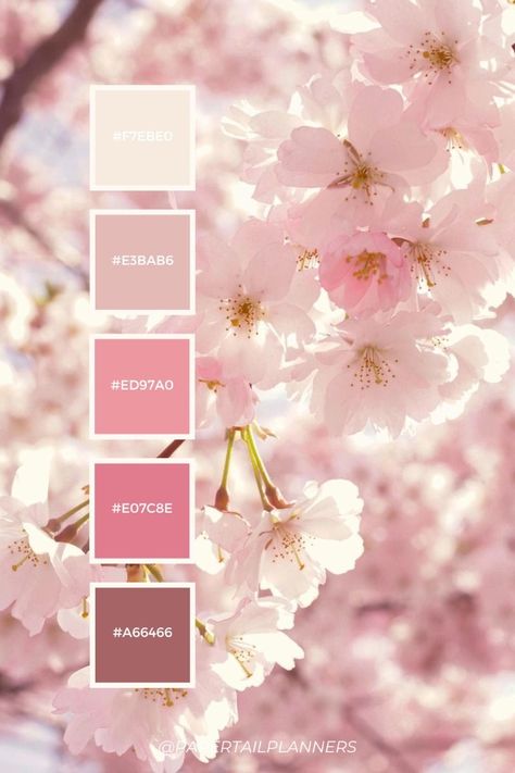 Cherry Blossom Pink Color, Pink Color Schemes Colour Palettes, Aesthetic Color Palettes Pink, Pink Palette Aesthetic, Pink Aesthetic Color Palettes, Pink Palette Colour Schemes, Color Pallets Pink, Pink Pallet Color, Sakura Color Palette