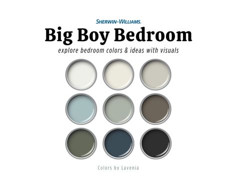 Creating the perfect bedroom for a growing boy involves more than just selecting the right furniture and decor; it's about crafting a space that reflects his personality, interests, and needs. One of the most crucial aspects of this process is choosing the right color palette. Colors can influence mood, enhance creativity, and create a sense of harmony within the space.  To help parents and guardians in this exciting yet challenging task, I've curated a versatile and timeless color palette desig Bedroom Colors Palette, Teenage Boys Bedroom Paint Colors, Teen Boy Paint Colors Bedroom, Boys Room Paint Ideas Color Schemes, Boys Room Color Palette, Paint Colors For Boys Bedroom, Boy Bedroom Colors, Boy Room Color Ideas, Boy Bedroom Paint Colors