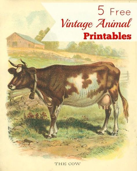 Very cute french farmhouse style animal printables you could use for DIY craft projects or just print out and frame (wouldn't these look cute in a baby's room?) Cow Drawing, Animal Printables, Pretty Printables, Free Vintage Printables, Extreme Makeover, Graphics Fairy, Vintage Picture, Images Vintage, Vintage Farm