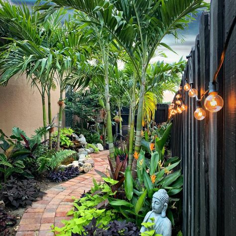 Florida Landscape Ideas, Florida Plants Landscaping, Colorful Landscaping, Tropical Backyard Landscaping, Florida Landscape, Tropical Landscape Design, Florida Landscaping, Florida Plants, Side Yard Landscaping