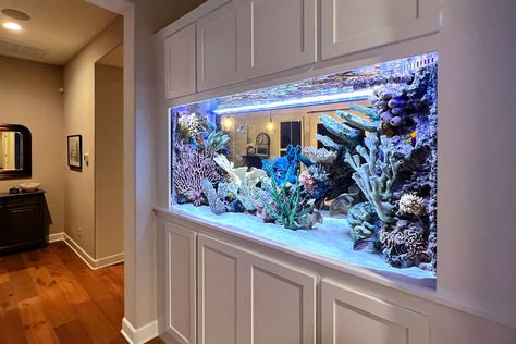 Portfolio Fish Tank Under Tv Living Rooms, Aquarium In House Living Rooms, Built In Fish Tank Ideas, Fish Tank Under Tv, Built In Fish Tank Wall, Aquarium Ideas Living Rooms, In Home Aquarium, Built In Fish Tank, Wall Aquarium Ideas