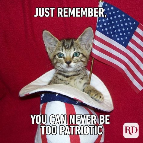 4th Of July Funny Pictures, Fourth Of July Meme, 4th Of July Songs, Usa Meme, Gif Quotes, American Meme, 4th Of July Images, Caw Caw, America Memes