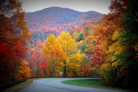 Tellico Plains In Tennessee Is One Of The Coolest Small Towns In The U.S. Camping In Tennessee, Tennessee Travel, Tennessee Vacation, Relaxing Vacations, East Tennessee, Colorful Trees, Smoky Mountain National Park, Incredible Places, Great Smoky Mountains