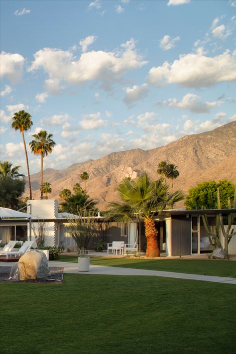 Palm Springs Country Club, Palm Springs Asethic, Palm Desert Aesthetic, Retro Palm Springs Aesthetic, Palm Springs Mid Century Modern Interior, 1950s Palm Springs, Palm Springs Landscape, 1960s Palm Springs, Desert Mansion