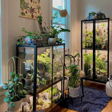 Gemstone Display Shelf, Indoor Glass Greenhouse, Plant Grow Room Ideas, Indoor Window Greenhouse, Greenhouse Inside House, Diy Greenhouse Inside, Diy Greenhouse Cheap Easy Indoor, Diy Plant Greenhouse Indoor, Plant Grow Room