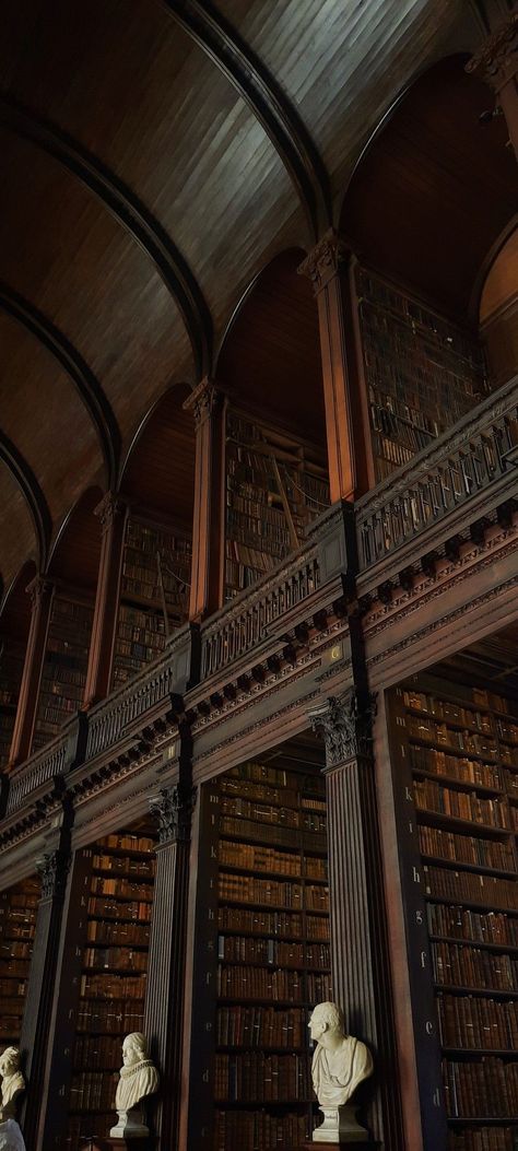 Old Huge Library Aesthetic, The Long Room Trinity College, Dimly Lit Library, Aesthetic Old Library, Library Old Aesthetic, Big Old Library, Old Libraries Aesthetic, Massive Library Aesthetic, Old Library Aesthetic Dark Academia