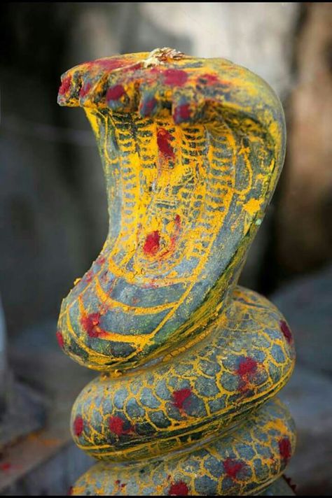 Naga Devathai Nagamma God, Naga Devatha, Nagula Chavithi, Snake Worship, Naga Panchami, Be Nice To Yourself, Anushka Photos, Asian Sculptures, Amazing Gifs