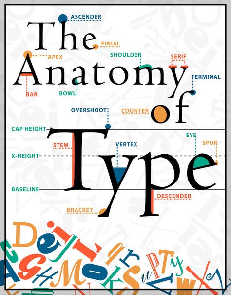 The Anatomy of Type Poster by designstew on DeviantArt Anatomy Of Type, Anatomy Of Typography, Type Anatomy, To Do App, Teaching Graphic Design, Type Poster, Graphisches Design, Design Theory, Learning Graphic Design