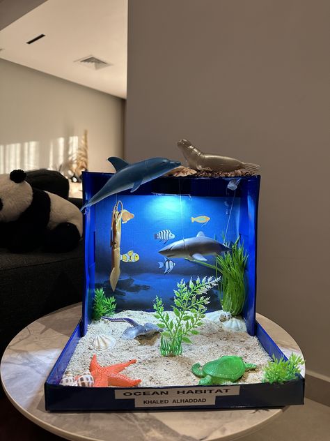 Diorama Aquarium, Ocean Habitat Project For Kids, Shark Diorama, Ocean Habitat Project For Kids Shoebox, Ocean Habitat Diorama School Projects, Ocean Habitat Diorama, Diorama Ideas For Kids Ocean, Ocean Ecosystem Shoebox Project, Ocean Ecosystem Diorama