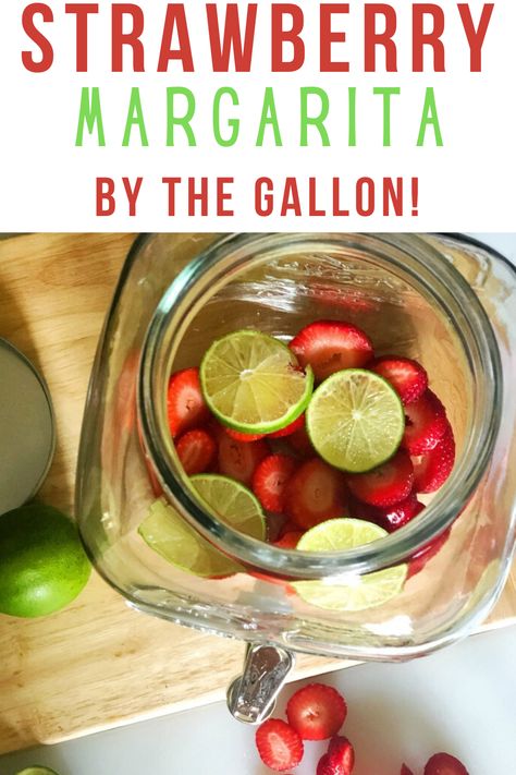 Recipe for a big batch of strawberry margarita - makes 1 gallon of margarita Cocktails By The Gallon, Margarita Batch Recipe, Gallon Margarita Recipe, Cookout Ideas, Strawberry Margarita Recipe, Margarita Drink, Chicory Recipe, Batch Cocktails, Party Cocktails