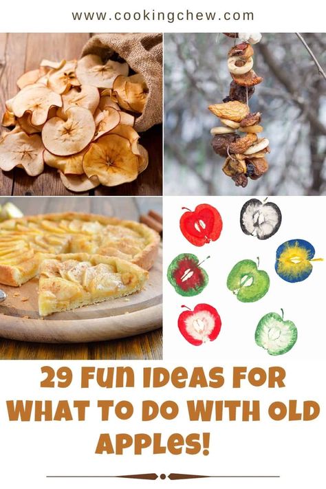 Looking for ideas about what to do with old apples? This post is packed with ideas for fun or delicious things to do with your extra apples! 🍏🍎 Use Up Old Apples, Recipes Using Old Apples, What To Do With Soft Apples, What To Do With Fallen Apples, How To Use Old Apples, What To Make With Old Apples, What Can I Do With Old Apples, Too Many Apples What To Do With, What To Do With Old Apples