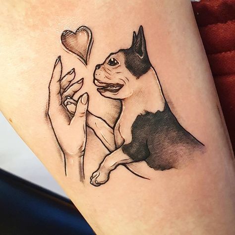 Boston Terrier Tattoo, traditional boston terrier tattoo, tiny boston terrier tattoo, boston terrier tattoo simple, minimalist boston terrier tattoo, boston terrier tattoo outline, boston terrier tattoo ideas, outline boston terrier tattoo, boston terrier tattoo small, small boston terrier tattoo, minimalist small boston terrier tattoo, simple boston terrier tattoo, boston terrier tattoo pictures, outline tiny boston terrier tattoo, geometric boston terrier tattoo, boston terrier tattoo designs Small Boston Terrier Tattoo, Simple Boston Terrier Tattoo, Remembrance Tats, Terrier Tattoo Ideas, Tattoo Ideas Outline, Fox Terrier Chileno, Body Expressions, Boston Terrier Tattoo, Terrier Tattoo