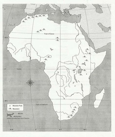 10+ 7Th Grade Africa Map Worksheet -  -  Check more at https://printable-sheets.com/10-7th-grade-africa-map-worksheet/ African Countries Map, Free Printable World Map, Elementary Geography, Map Quiz, Africa Continent, Montessori Geography, Geography Worksheets, Lead Teacher, Geography Activities