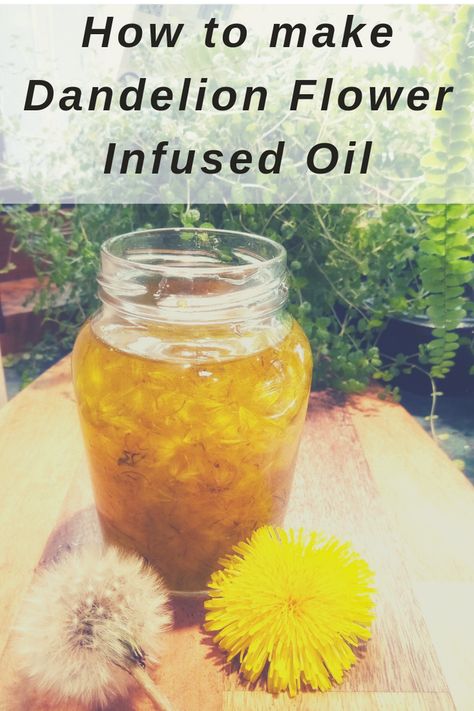 Dandelion Infused Oil, Flower Infused Oil, Infused Oil Recipes, Dandelion Salve, Dandelion Oil, Diy Herbal Remedies, Wild Food Foraging, Salve Recipes, Diy Beauty Treatments