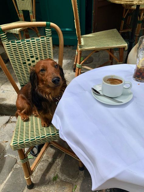 French Girlfriend Aesthetic, Parisian Lifestyle Aesthetic, French Culture Aesthetic, French Lifestyle Aesthetic, Dream Lifestyle Aesthetic, French Girl Lifestyle, French Countryside Aesthetic, French Vibes, French Life