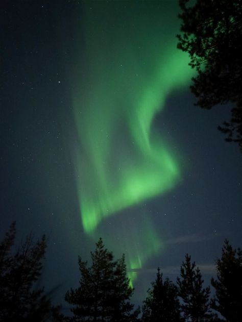 Nature, The Northern Lights Aesthetic, Northen Light Aesthetic, Northern Europe Aesthetic, Northen Lights Aesthetic, Aurora Borealis Aesthetic, Northern Aesthetic, Lulea Sweden, Northern Lights Aesthetic