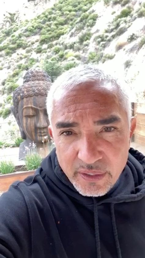 Instagram post by Cesar Millan • May 31, 2020 at 4:41pm UTC Cesar Millan, May 31, The 4, Dream Wedding, Historical Figures, Instagram Post, Instagram Posts, Quick Saves, Instagram