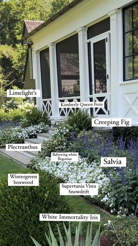 Yard Ideas Diy, Ideas For Dogs, Front Yard Garden Design, Front Landscaping, Dry Creek, Home Garden Design, Casa Exterior, Have Inspiration, Backyard Inspo