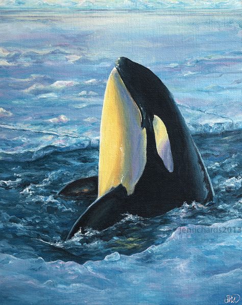 "Break Out" - Orca. Original acrylic painting by Jen Richards.  www.jenrichardsart.com Paintings Animals, Whale Artwork, Orca Art, Animal Paintings Acrylic, Whale Drawing, Art Sherpa, Whale Painting, Orca Whale, Whale Art