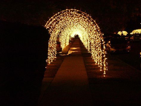 build your own christmas holiday lighted walkway sidewalk driveway arches Arch Light, Light Tunnel, Christmas Light Installation, Hanging Christmas Lights, Wedding Entrance Decor, Prom Decor, Christmas Light Displays, Wedding Entrance, Wedding Sarees